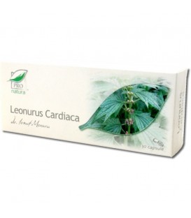 Leonurus Cardiaca, 30 capsule imagine produs 2021 cufarulnaturii.ro