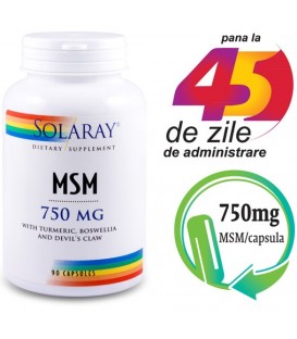 MSM 750 mg, 90 capsule imagine produs 2021 cufarulnaturii.ro
