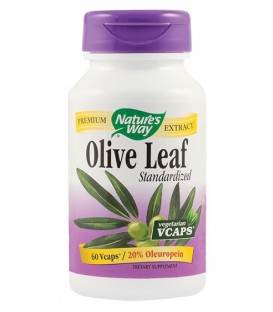 Olive Leaf SE (20% oleuropein), 60 capsule