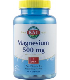 Magnesium, 500 mg 60 capsule imagine produs 2021 cufarulnaturii.ro