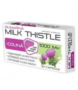 Milk Thistle + Colina, 30 capsule imagine produs 2021 cufarulnaturii.ro