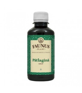 Sirop Patlagina, 200 ml