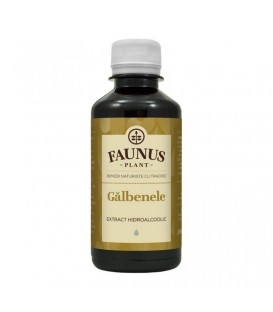 Tinctura Galbenele, 200 ml
