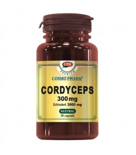 Cordyceps 300 mg, 30 capsule imagine produs 2021 cufarulnaturii.ro