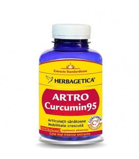 Artro Curcumin 95, 120 capsule