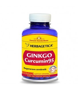 Gingko Curcumin95, 120 capsule