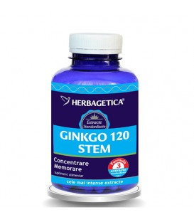 Ginkgo 120 Stem, 120 capsule
