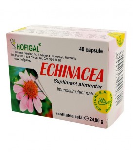 Echinacea, 40 capsule imagine produs 2021 cufarulnaturii.ro