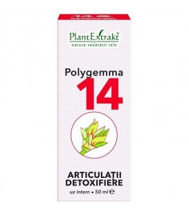 Polygemma 14 - Articulatii Detoxifiere, 50 ml imagine produs 2021 cufarulnaturii.ro