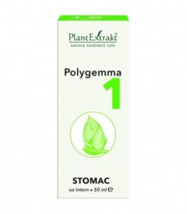 Polygemma 1 - Stomac, 50 ml imagine produs 2021 cufarulnaturii.ro