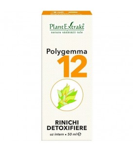 Polygemma 12 - Rinichi Detoxifiere, 50 ml imagine produs 2021 cufarulnaturii.ro