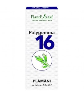 Polygemma 16 - Plamani Detoxifiere, 50 ml imagine produs 2021 cufarulnaturii.ro