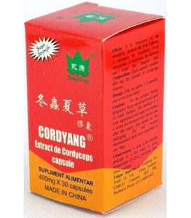 Cordyang (Cordiceps) 400 mg, 30 capsule imagine produs 2021 cufarulnaturii.ro