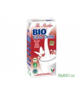 Lapte din grau Spelta (Bio), 1 litru imagine produs 2021 cufarulnaturii.ro