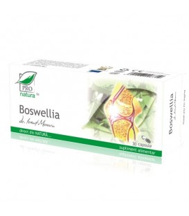 Boswellia, 30 capsule imagine produs 2021 cufarulnaturii.ro