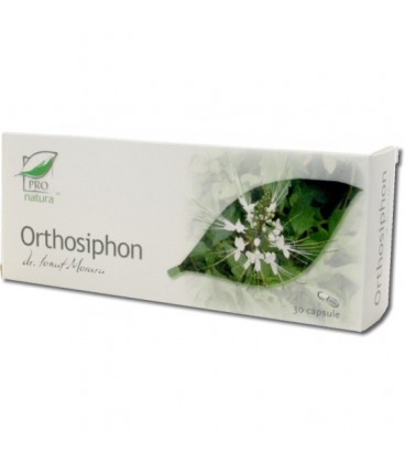 Orthosiphon, 30 capsule