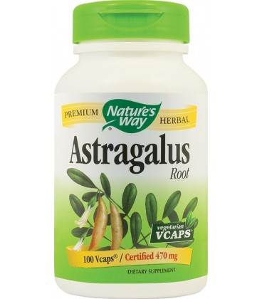 Astragalus Root 470 mg, 100 capsule