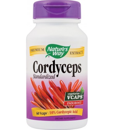 Cordyceps SE, 60 capsule