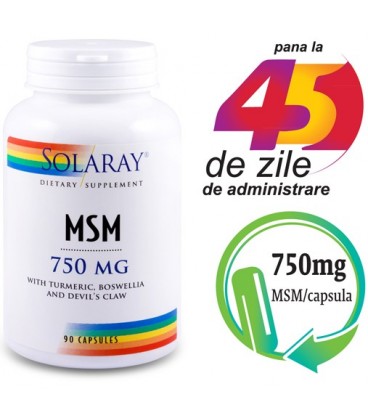 MSM 750 mg, 90 capsule