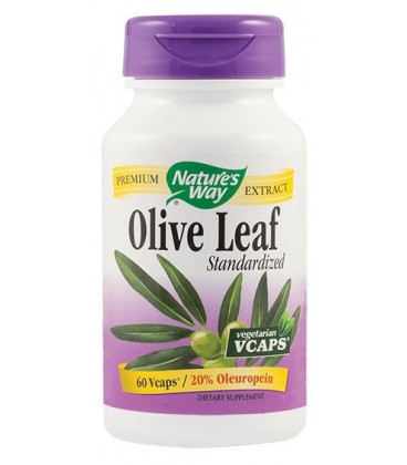 Olive Leaf SE (20% oleuropein), 60 capsule