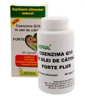 Coenzima Q10 in ulei de catina forte plus 60 mg, 40 capsule