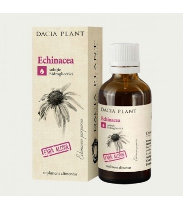 Echinacea (tinctura fara alcool), 50 ml