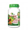 Gout Star, 100 tablete