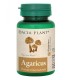 Agaricus, 60 comprimate - DACIA PLANT