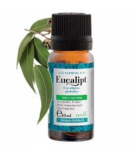 Ulei esential de eucalipt pentru uz extern, 10 ml